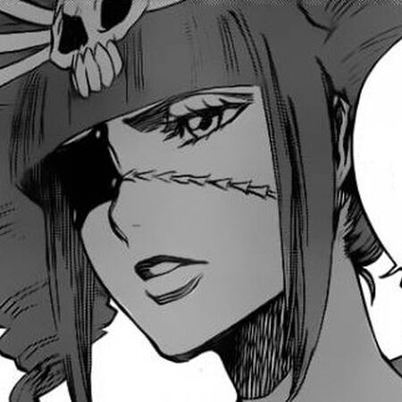 Katen KyÅkotsu Seireitou Bleach Fan Fiction Wiki Fandom Check out katen kyokotsu bankai project x. bleach fan fiction wiki