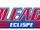 Bleach: Eclipse