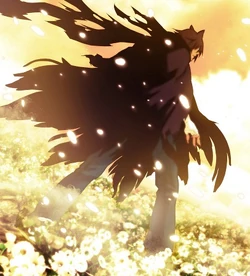 Shigeru's transformation