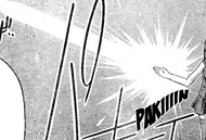 Hinata Reishuken