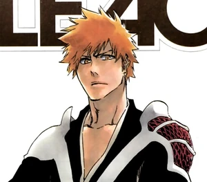 Ichigo Kurosaki (Ash) | Bleach Fan Fiction Wiki | Fandom