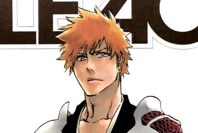 Fullbring (Seireitou), Bleach Fan Fiction Wiki