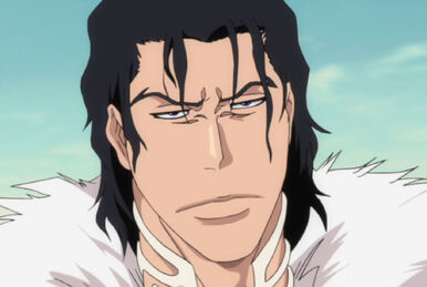 Bleach Brasil - X-Cution e o objetivo de Ginjou Ginjou é um Fullbringer e foi o primeiro Shinigami Substituto. Após descobrir que estava sendo monitorado 24 horas por dia, ele se sentiu