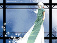 Meian Bankai2