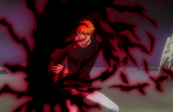 Ichigo Kurosaki (Shinigami) Saga Fullbring, Wiki