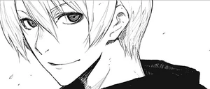 HikariManga