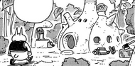 Tonma's home