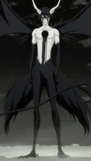 Ulquiorra Cifer (Void) | Bleach Fan Fiction Wiki | Fandom