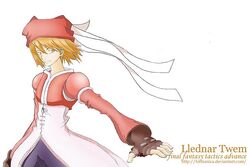 I do not own the FFTA character Llednar Twem, or any of FFTA.