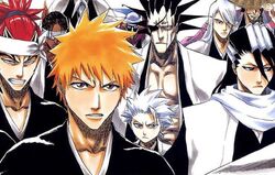 Fullbring (Tycho), Bleach Fan Fiction Wiki
