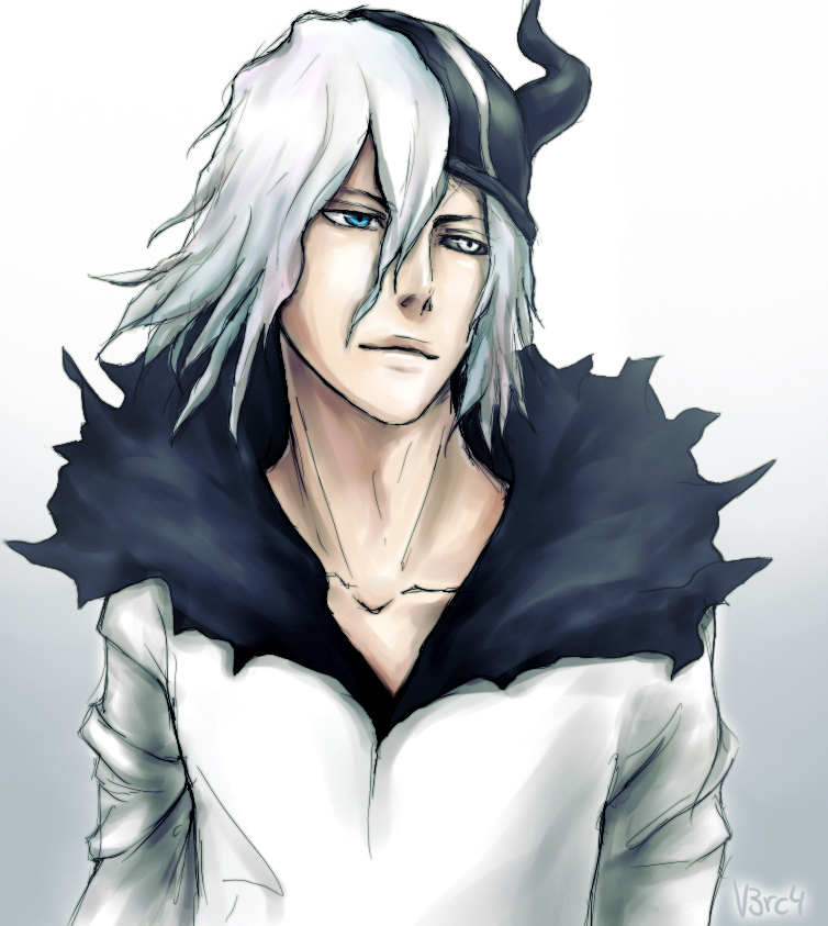 Zangetsu, Bleach Media Wiki, Fandom