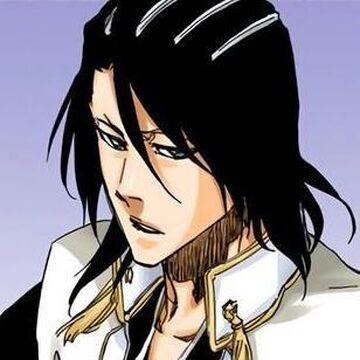 Byakuya Kuchiki, Bleach Wiki