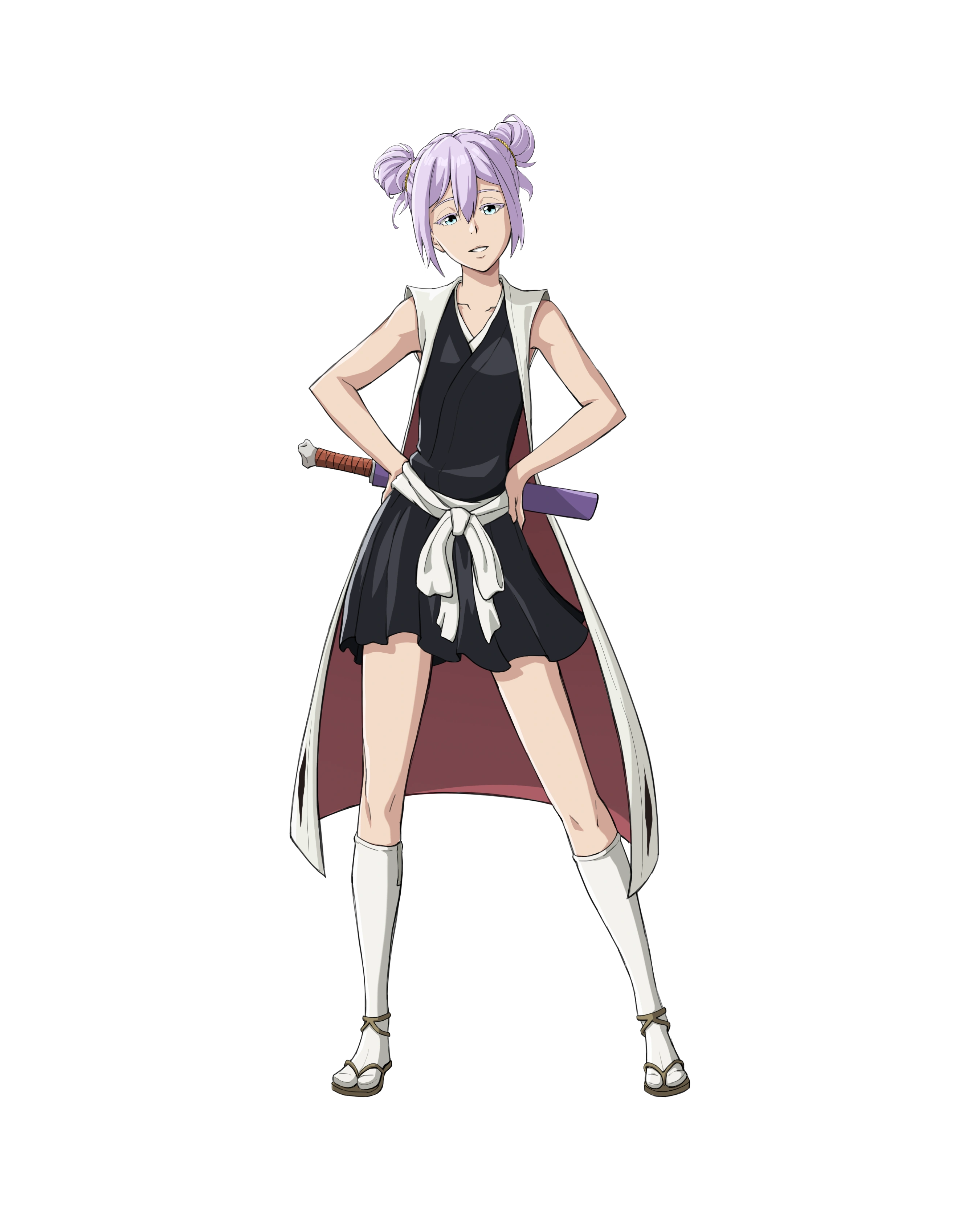 BLEACH ブリーチ Amazon.co.jp: BLEACH ブリーチ クリアコレクション 4 志波海燕