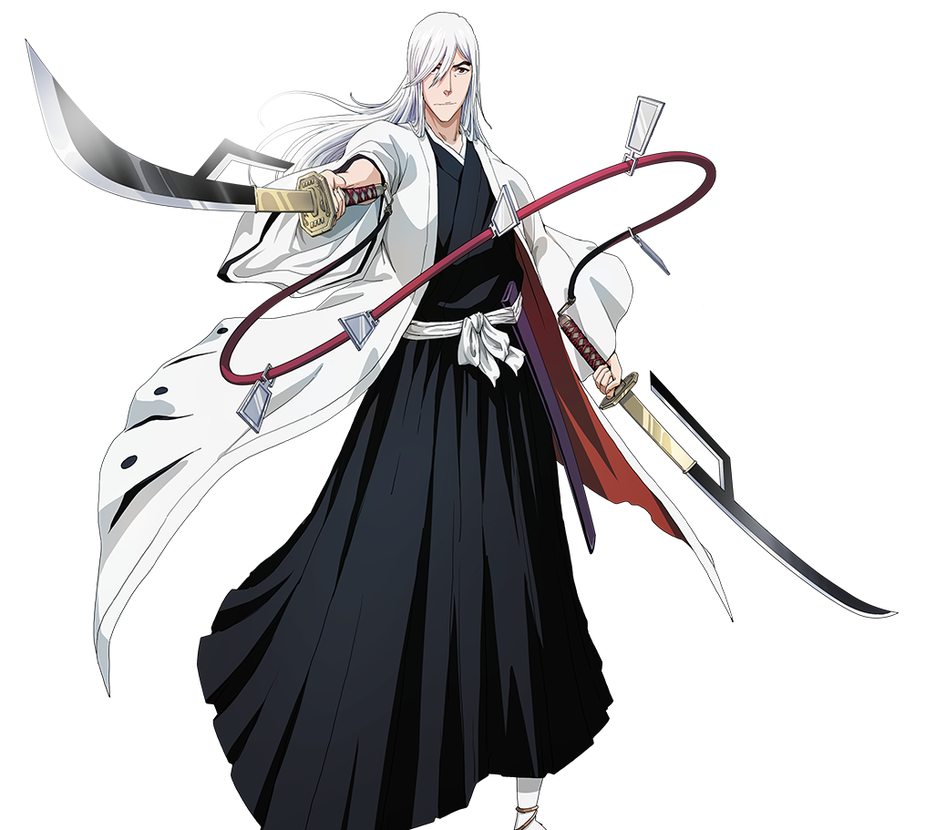 Bleach: Immortal Soul, Bleach Wiki