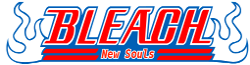 Bleach New Soul Wiki