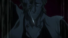 Блич 18-5.mp451967