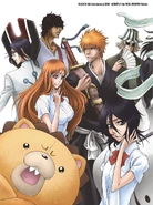 Орихиме и её друзья на обложке Bleach Anime 5th Anniversary Boxset