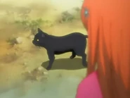 Йоруичи советует решение