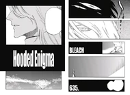 The cover page of 635. Hooded Enigma.