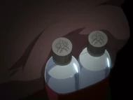 Гюль и Гюнтер в запечатанной форме.