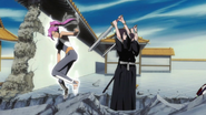 The Hinamori Reigai are defeated by Yoruichi.