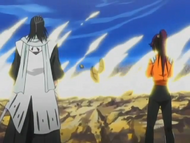 Byakuya And Yoruichi