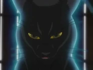 Йоруичи Шихоин