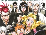 Bleach Official Bootleg: KaraBuri+