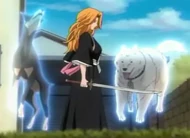 Шинтаро и доберман очищены.