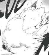 После того как Ичиго быстро регенерирует, он заставляет Кенсея снова использовать Бросок бомбы .