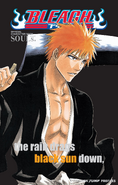 Ичиго на обложке Bleach: Official Character Book SOULs.