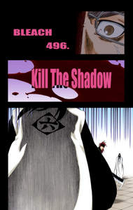 Cover of 496. KILL THE SHADOW.