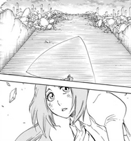 677Orihime lies