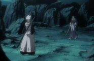 Hitsugaya and Hyōrinmaru face each other.