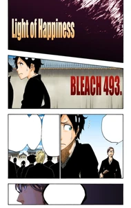 Cover of 493. LIGHT OF HAPPINESS.