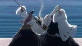 Блич 18-13.mp462833