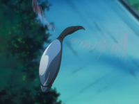 Bitto