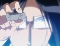 Gintou2