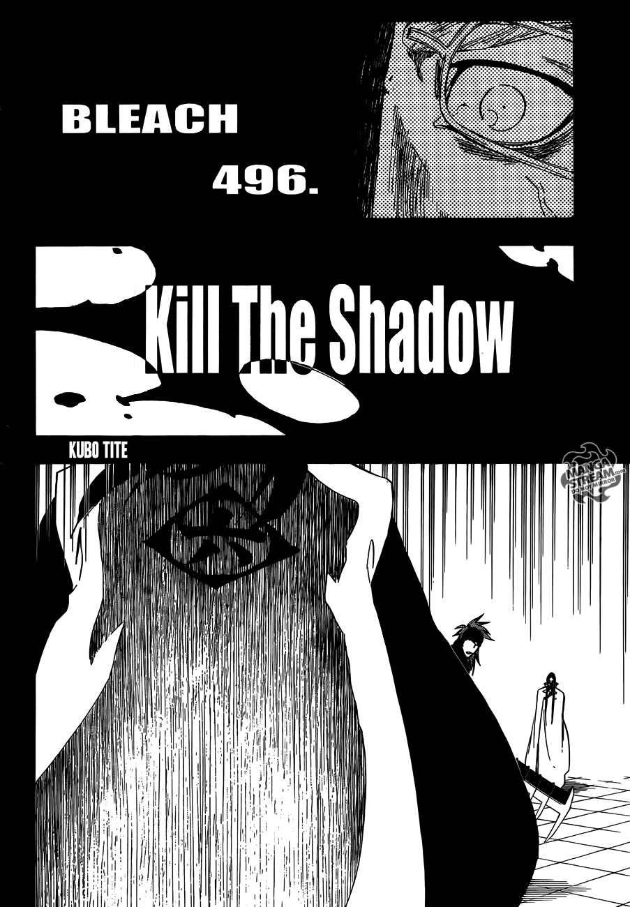 Kapitel 496 Kill the Shadow Bleach Wiki Fandom