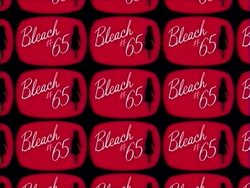 Bleach 65.png