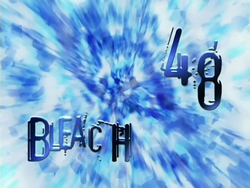 Bleach 48.png