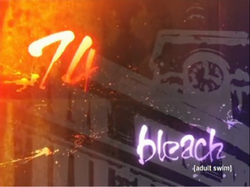 Bleach 74.png