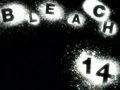 Bleach14