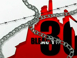 Bleach 30.png