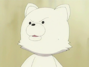 Kon als Shintarou