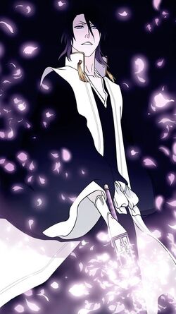 Byakuya Bankai.jpg