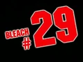 Bleach 29