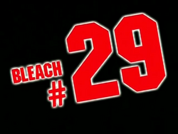 Bleach 29.png