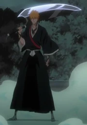Ichigos neues Shikai