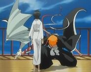 Die Flügel fahren gerade wieder ein, als Ichigo vor Rukia landet